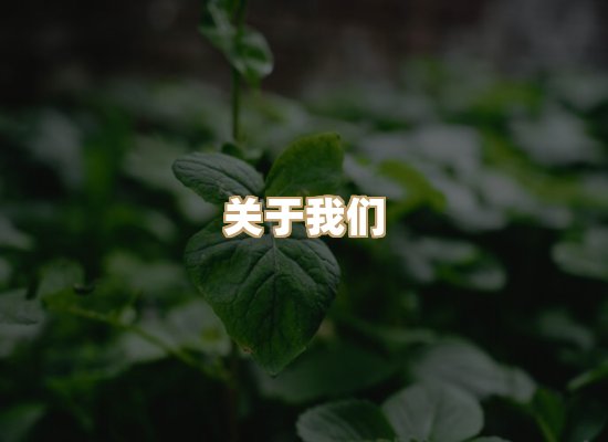 关于瑞达检测